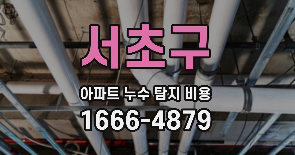 서초구 아파트 누수 탐지 비용