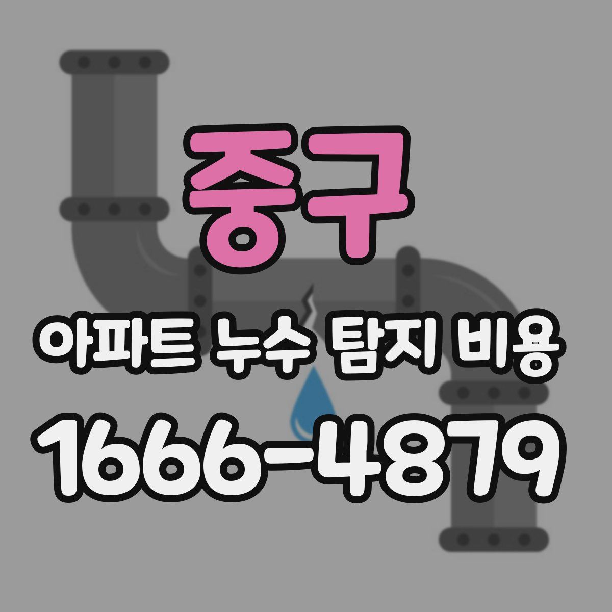 중구 아파트 누수 탐지 비용