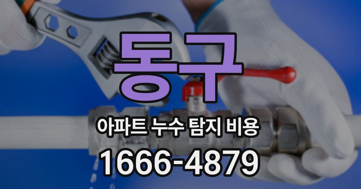 동구 아파트 누수 탐지 비용