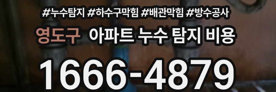 영도구 아파트 누수 탐지 비용