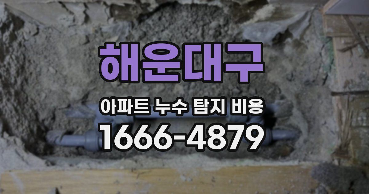 해운대구 아파트 누수 탐지 비용