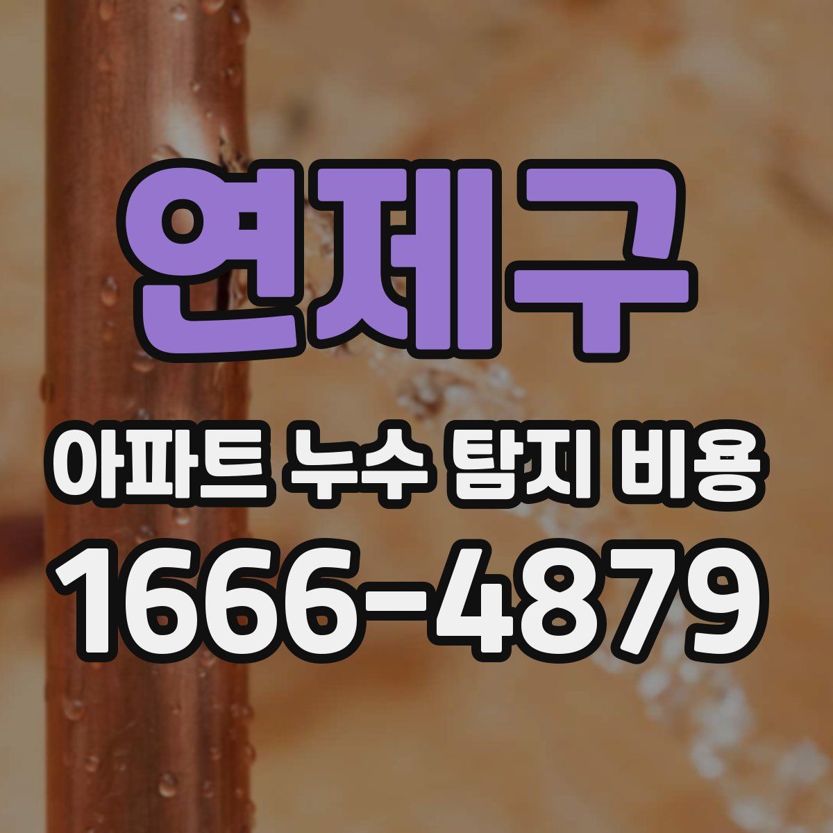 연제구 아파트 누수 탐지 비용