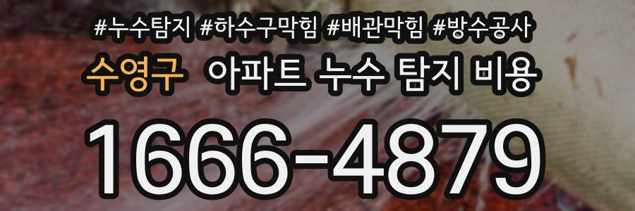 수영구 아파트 누수 탐지 비용