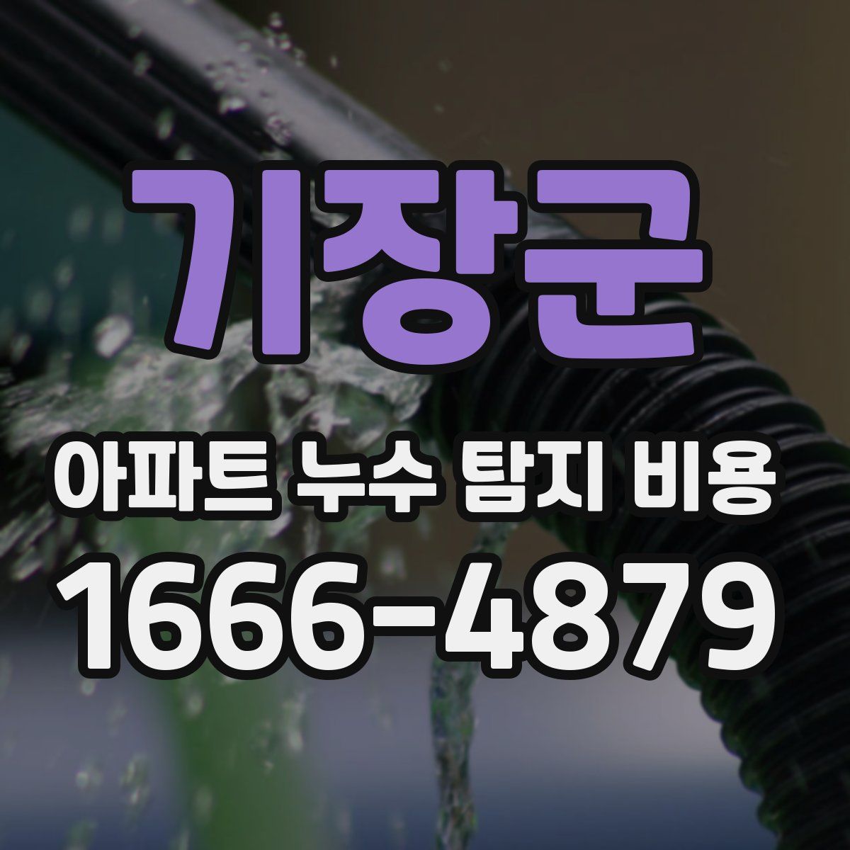 기장군 아파트 누수 탐지 비용