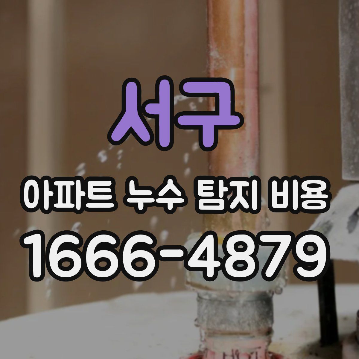 서구 아파트 누수 탐지 비용