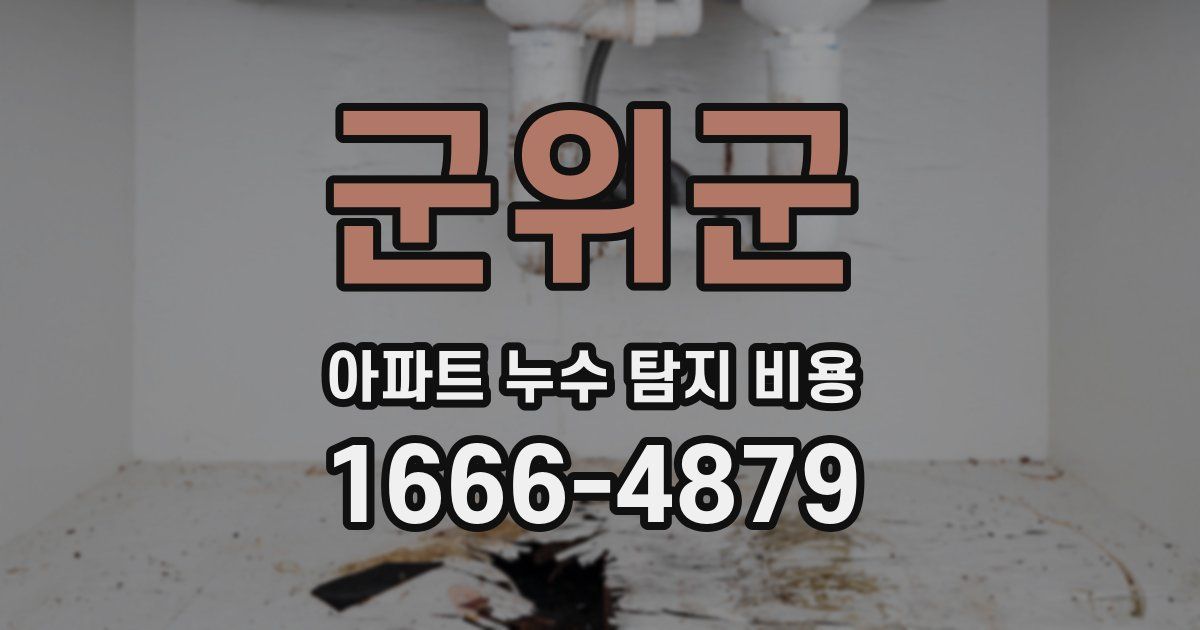 군위군 아파트 누수 탐지 비용