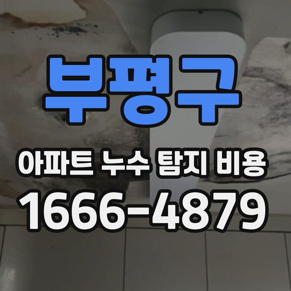 부평구 아파트 누수 탐지 비용