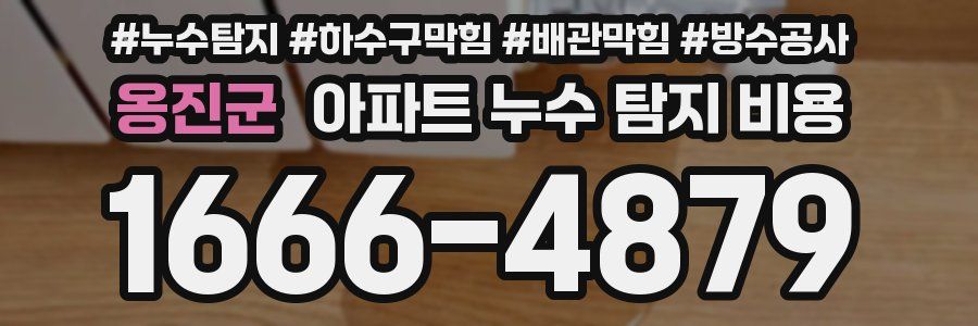 옹진군 아파트 누수 탐지 비용