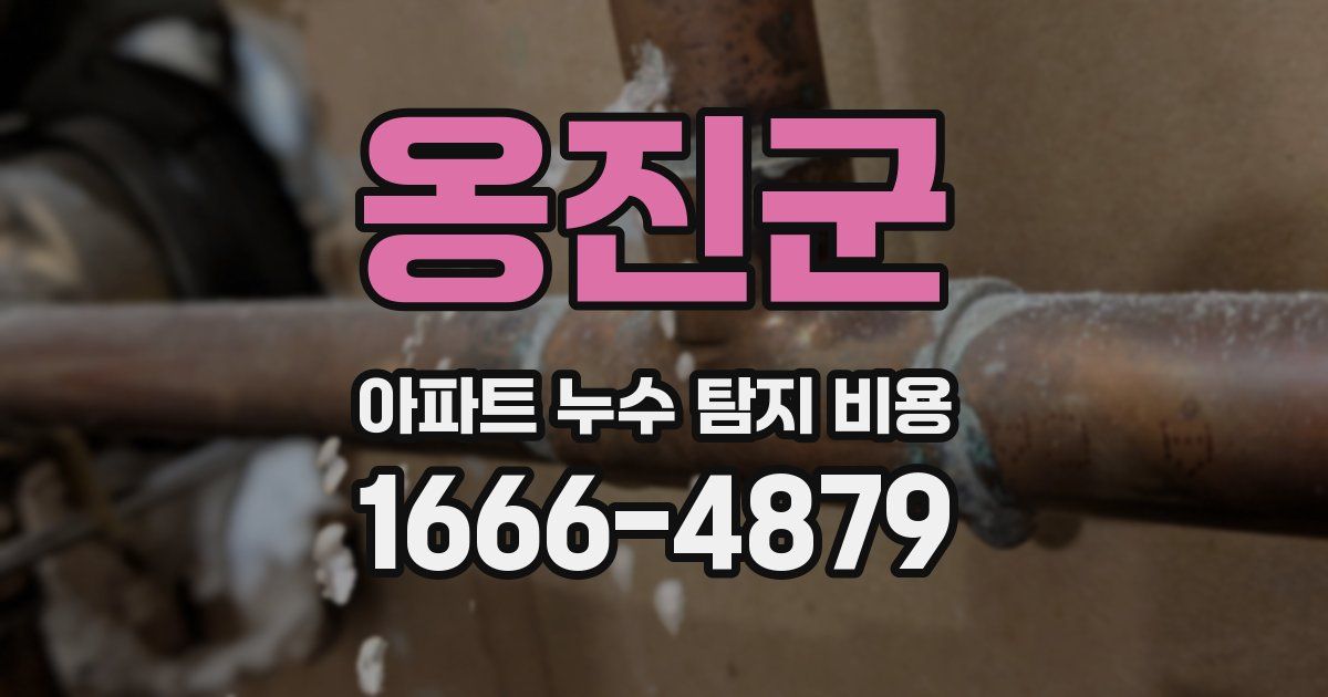 옹진군 아파트 누수 탐지 비용