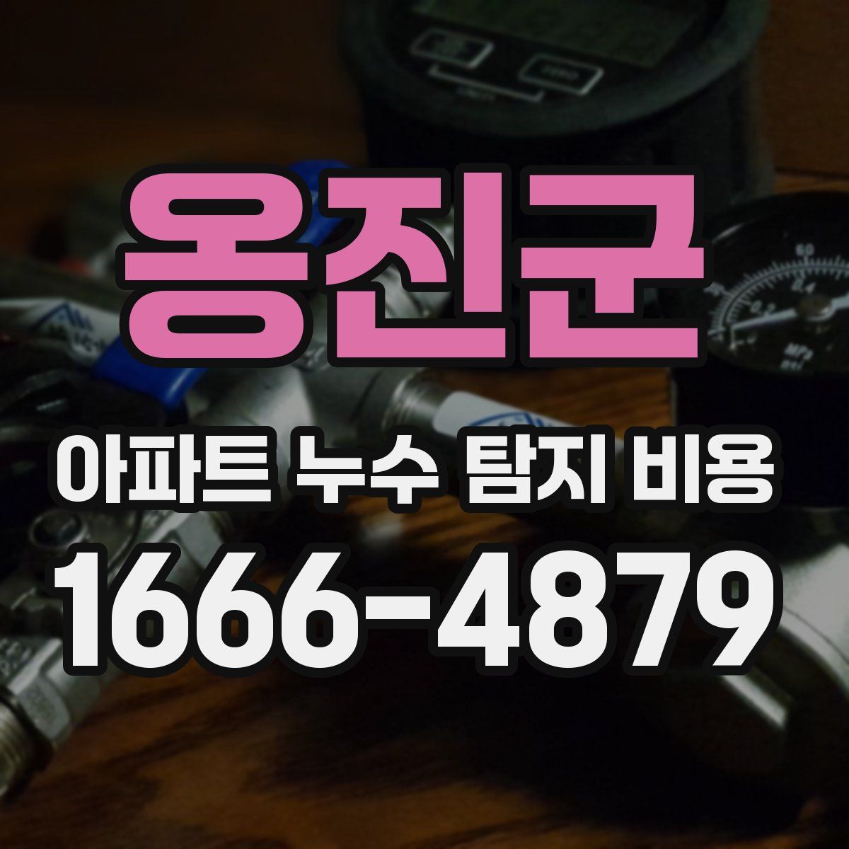 옹진군 아파트 누수 탐지 비용