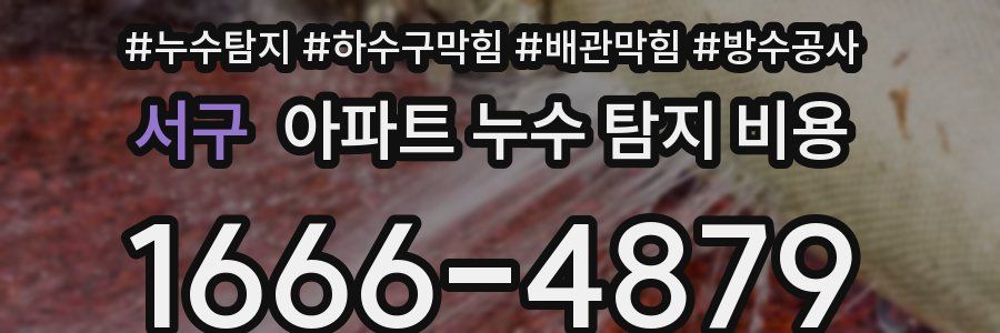 서구 아파트 누수 탐지 비용