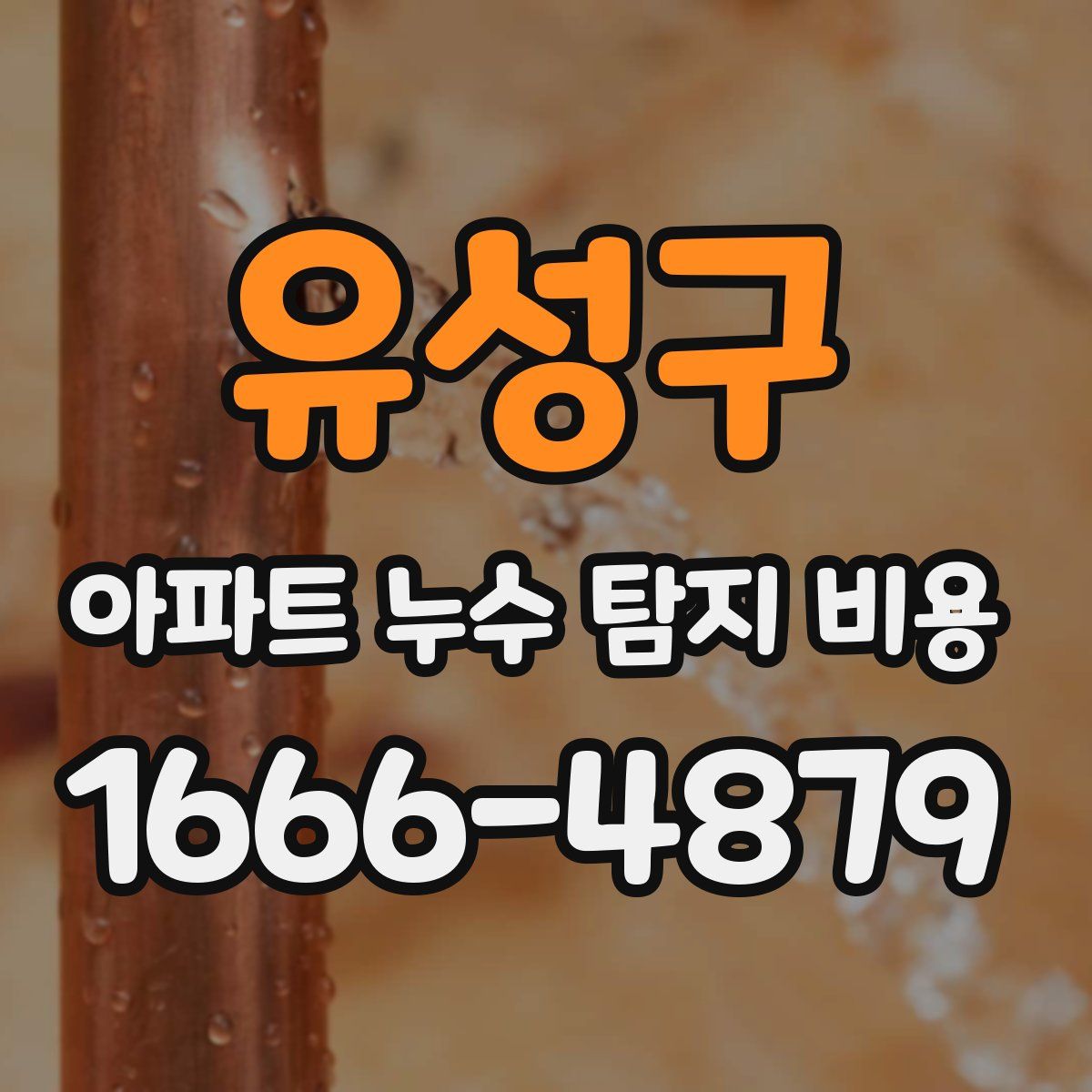 유성구 아파트 누수 탐지 비용