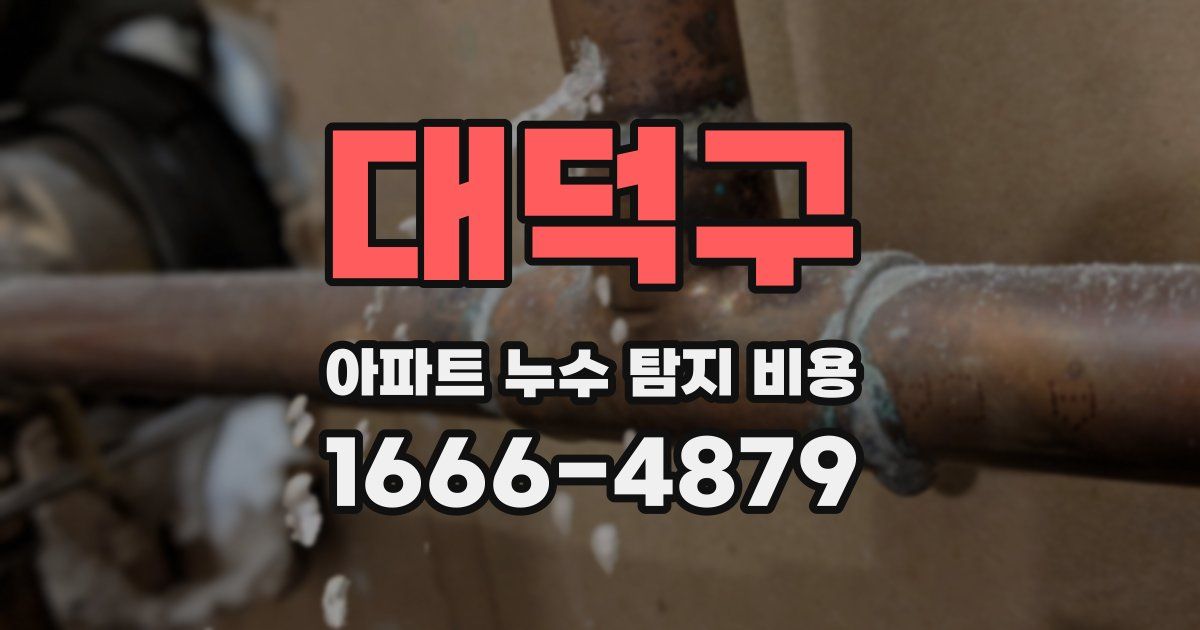 대덕구 아파트 누수 탐지 비용