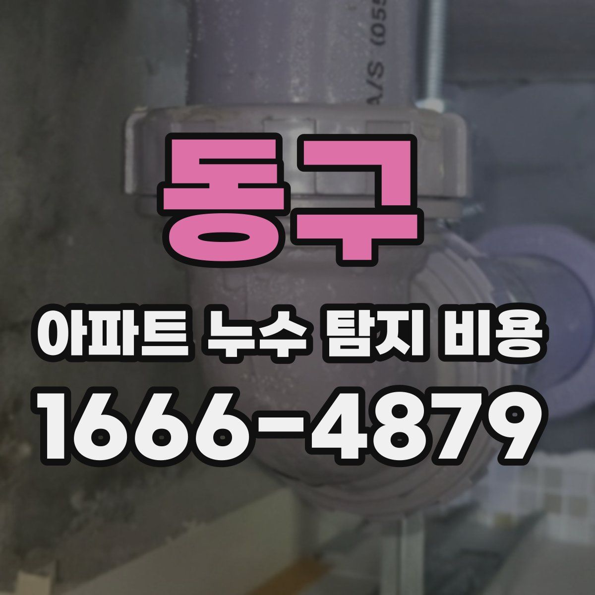 동구 아파트 누수 탐지 비용