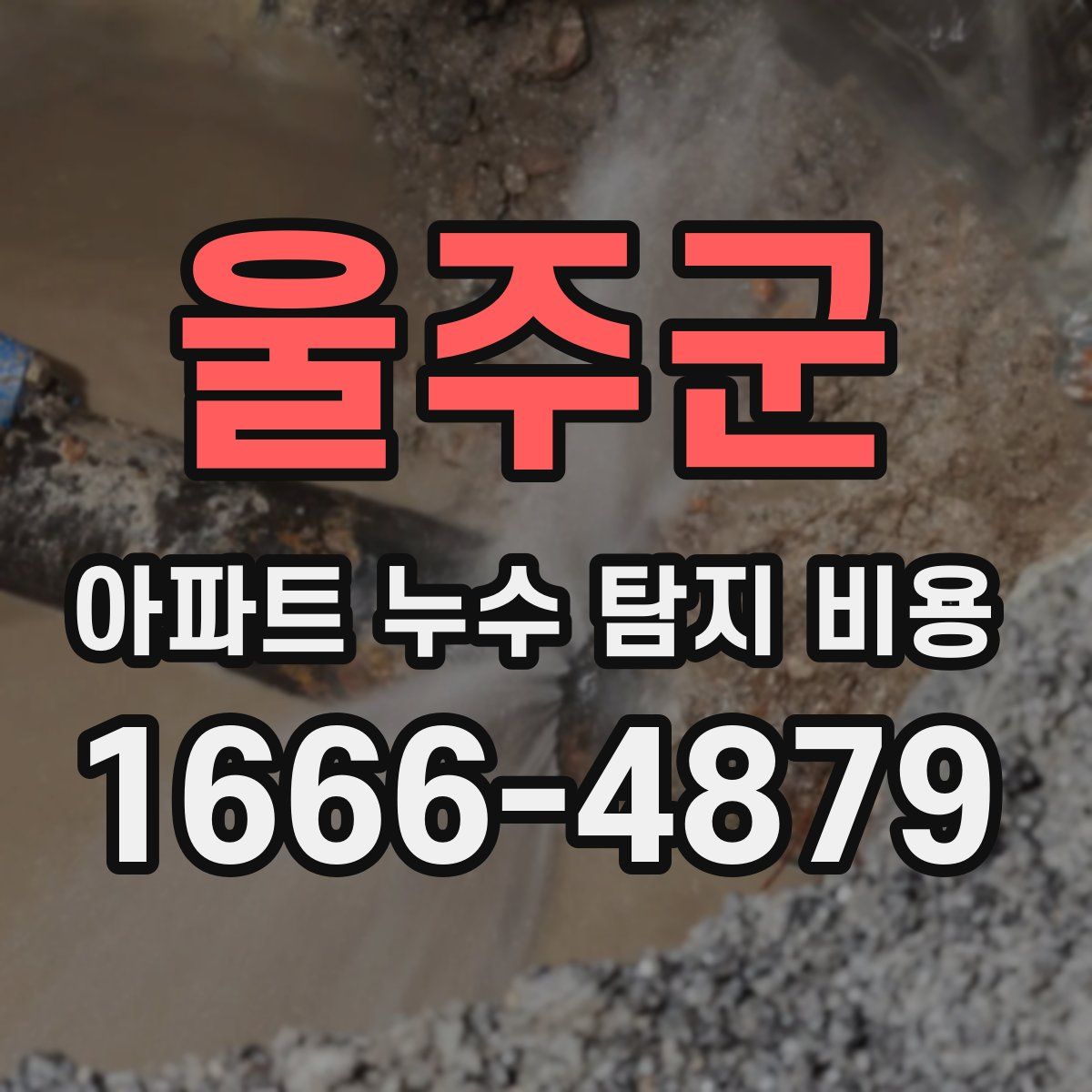 울주군 아파트 누수 탐지 비용