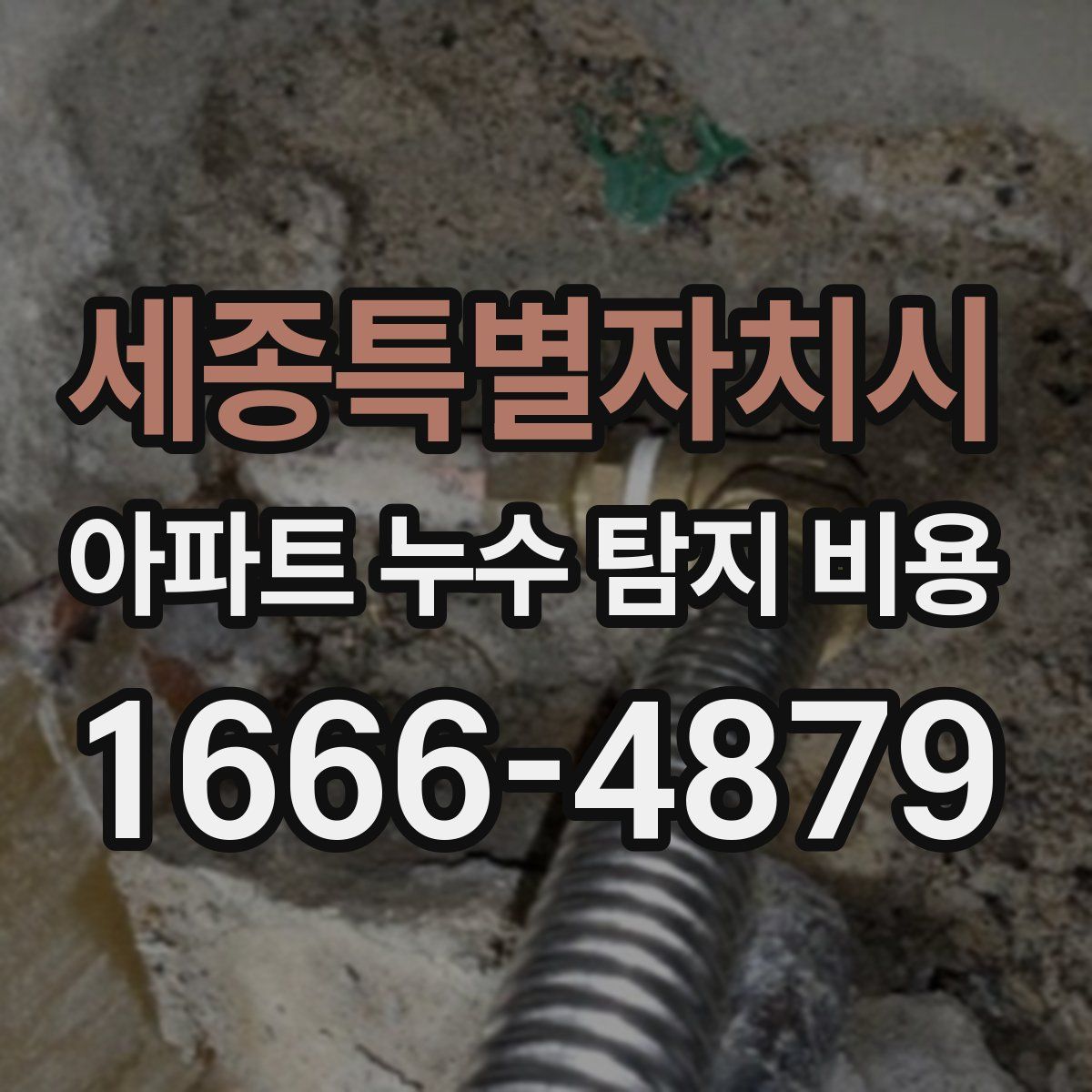 세종특별자치시 아파트 누수 탐지 비용