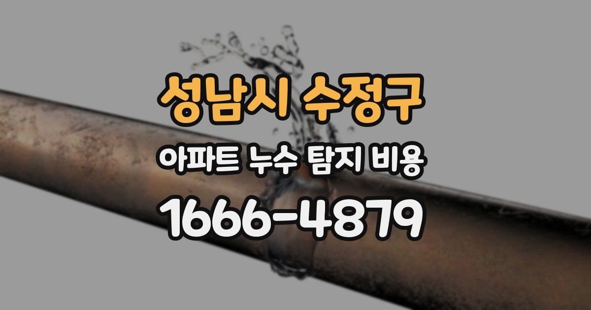 성남시 수정구 아파트 누수 탐지 비용
