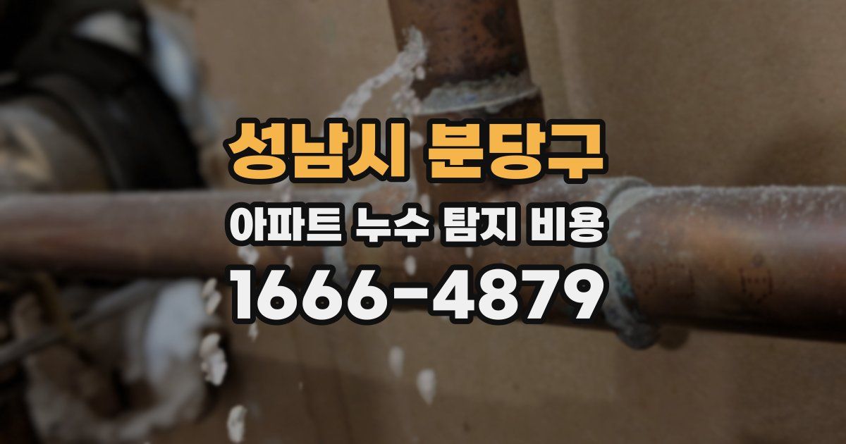 성남시 분당구 아파트 누수 탐지 비용