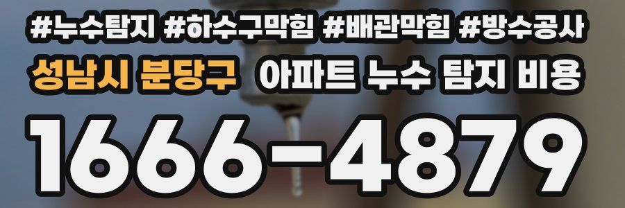 성남시 분당구 아파트 누수 탐지 비용