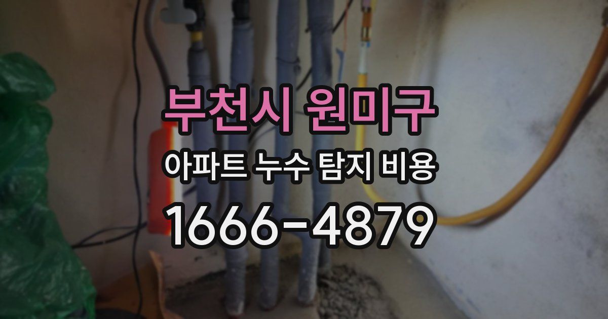부천시 원미구 아파트 누수 탐지 비용