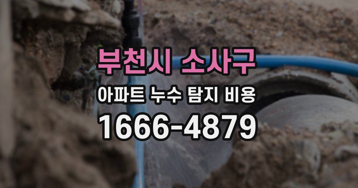 부천시 소사구 아파트 누수 탐지 비용
