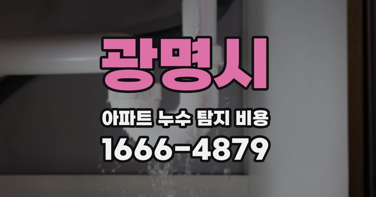 광명시 아파트 누수 탐지 비용