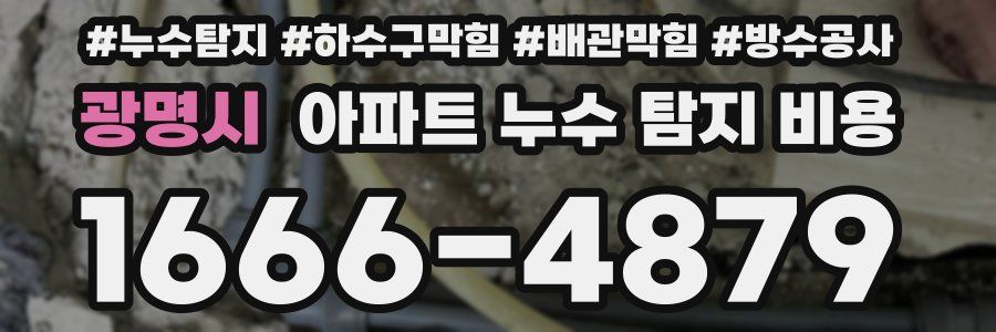 광명시 아파트 누수 탐지 비용