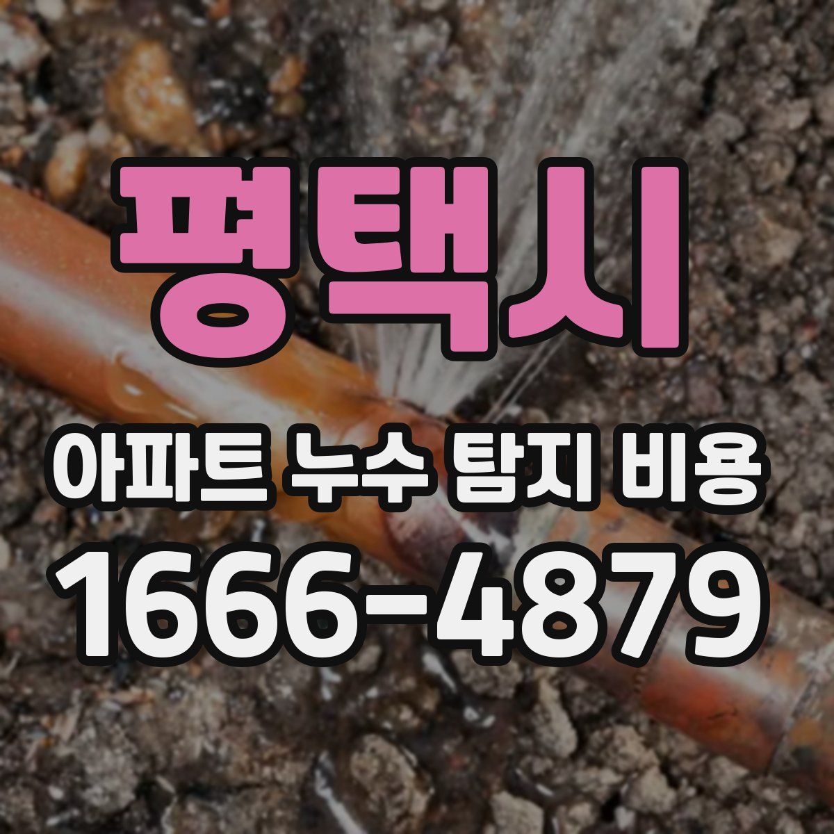 평택시 아파트 누수 탐지 비용