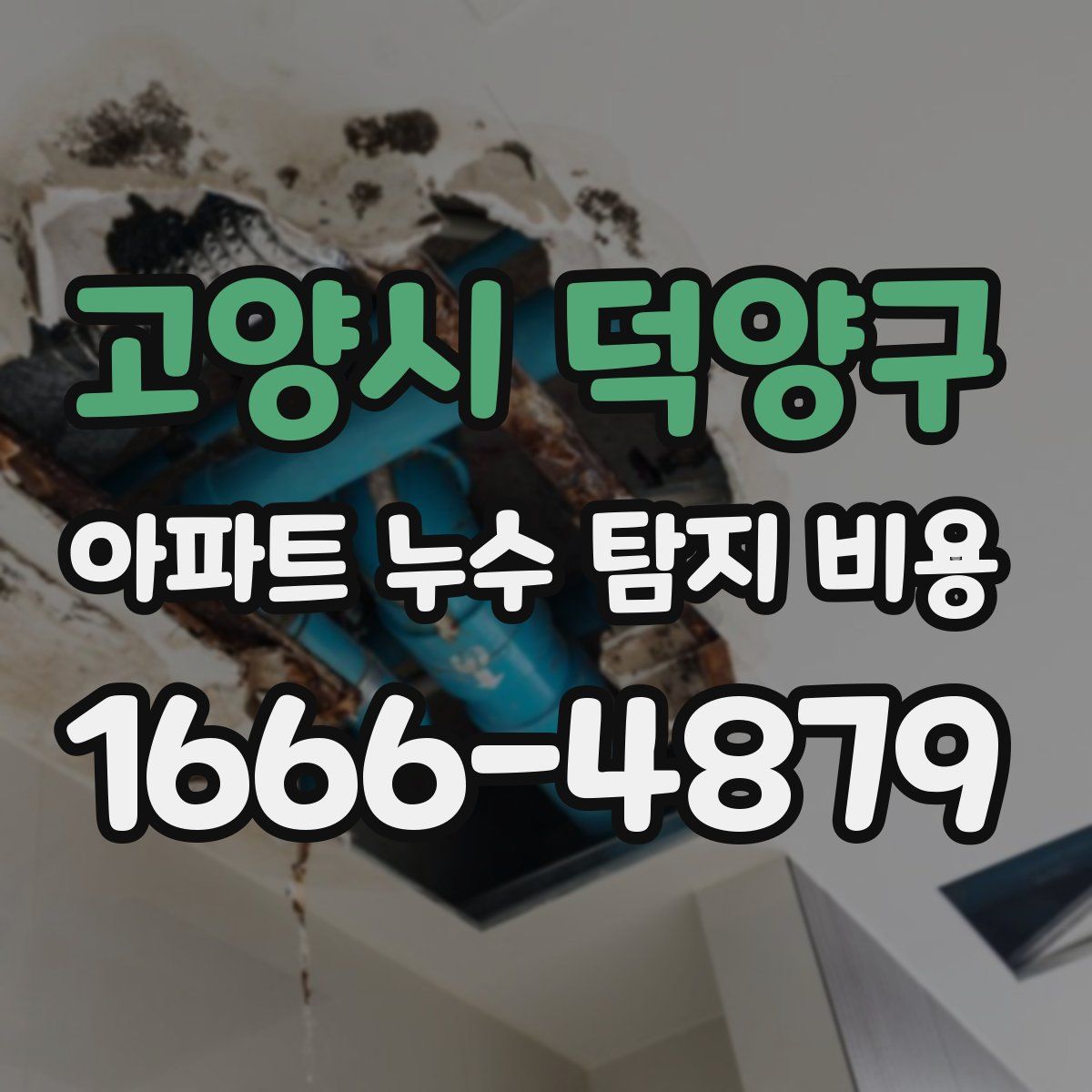 고양시 덕양구 아파트 누수 탐지 비용