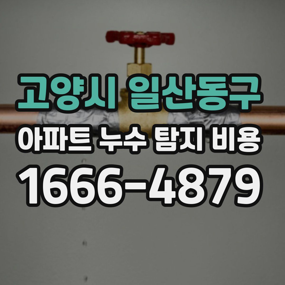 고양시 일산동구 아파트 누수 탐지 비용