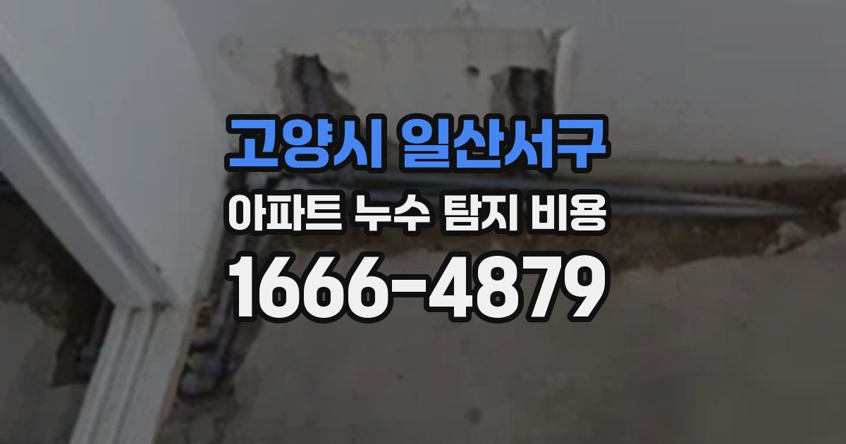 고양시 일산서구 아파트 누수 탐지 비용