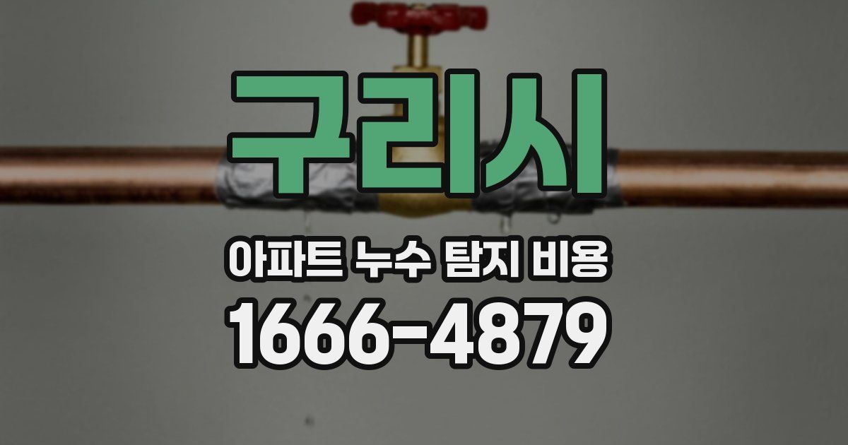 구리시 아파트 누수 탐지 비용