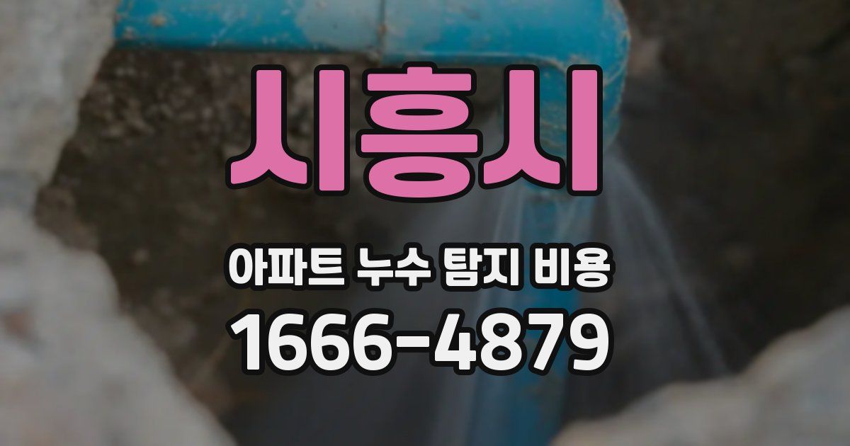 시흥시 아파트 누수 탐지 비용