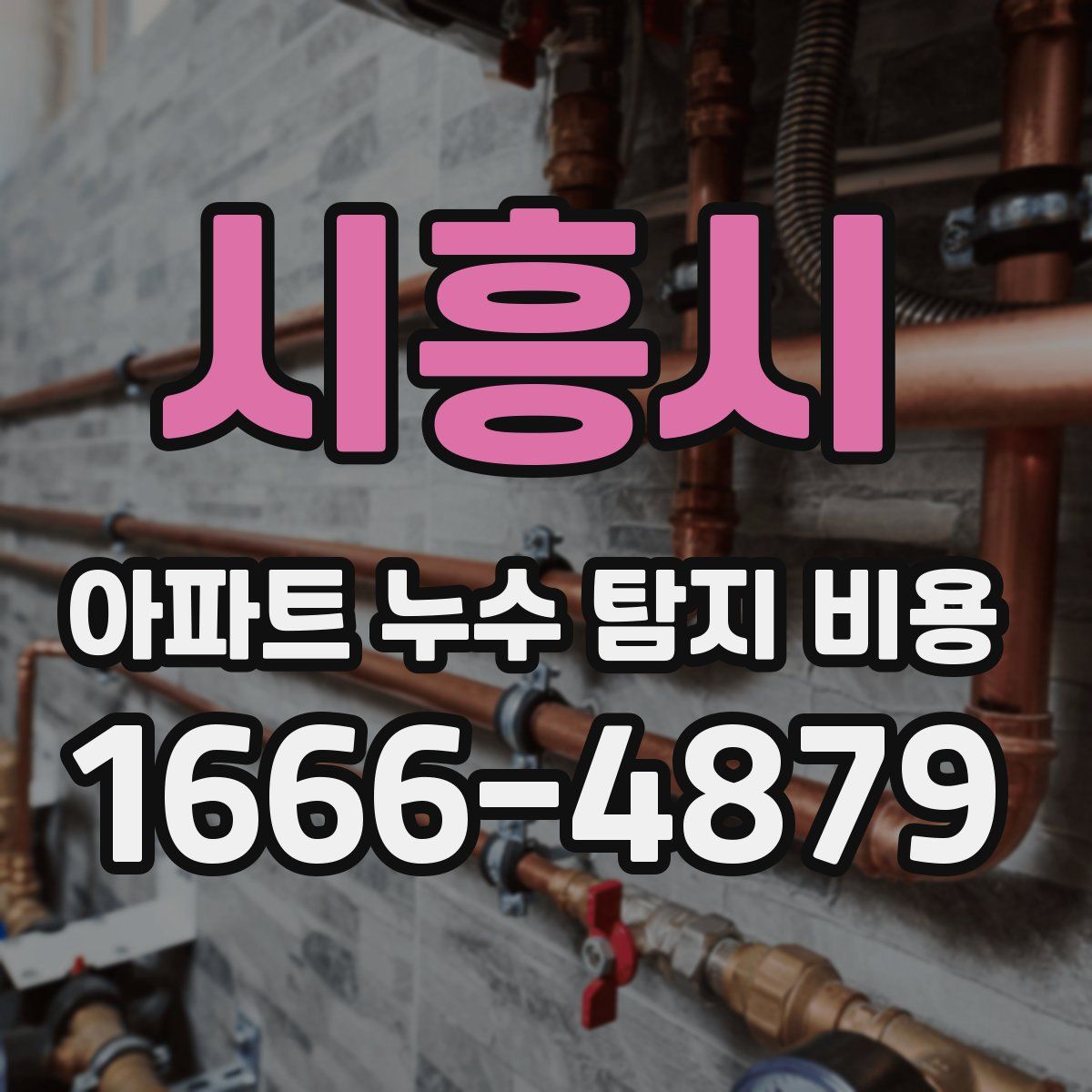 시흥시 아파트 누수 탐지 비용