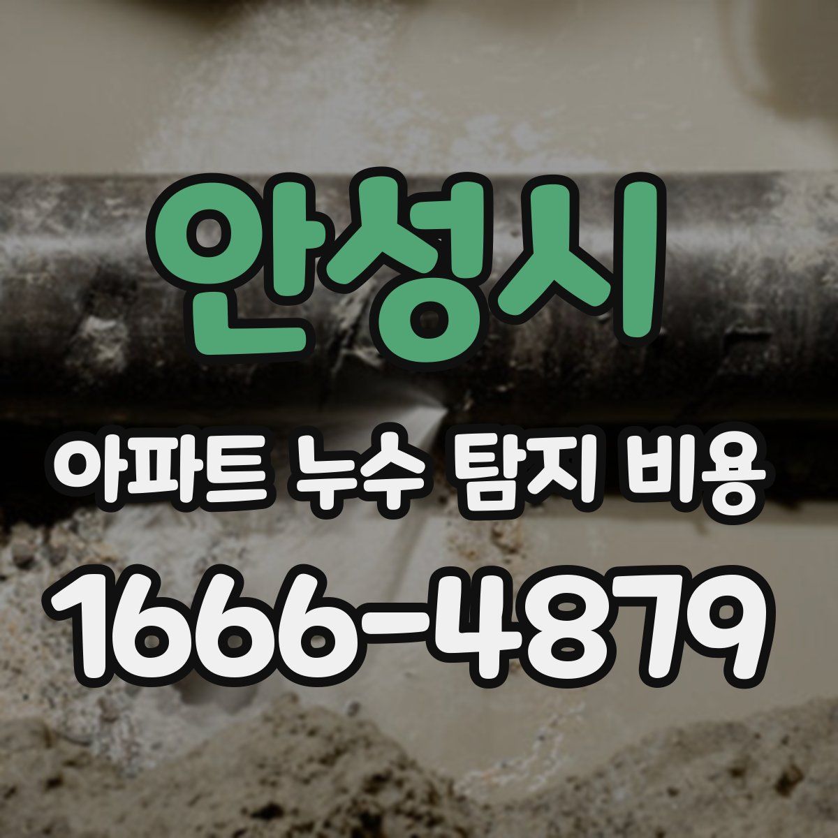 안성시 아파트 누수 탐지 비용