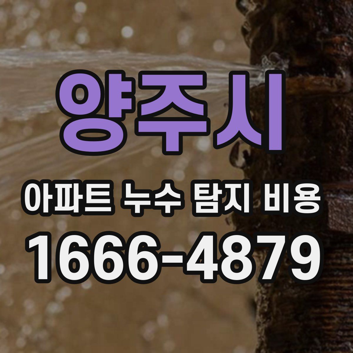 양주시 아파트 누수 탐지 비용