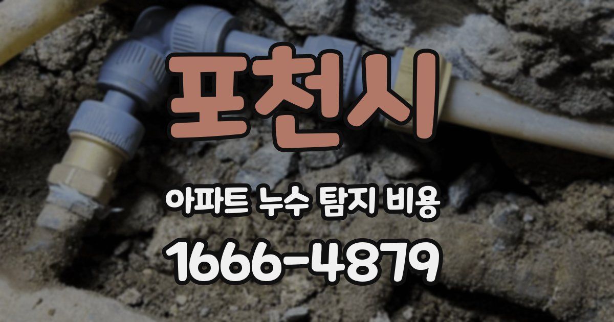 포천시 아파트 누수 탐지 비용