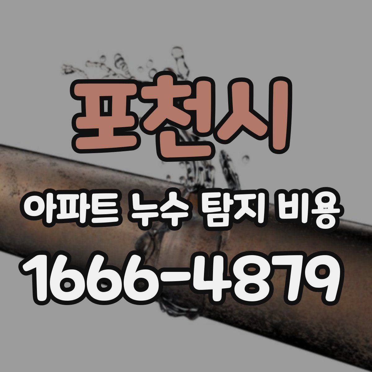 포천시 아파트 누수 탐지 비용