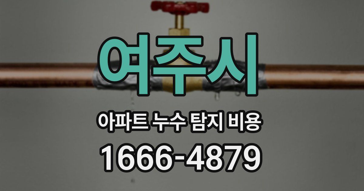 여주시 아파트 누수 탐지 비용