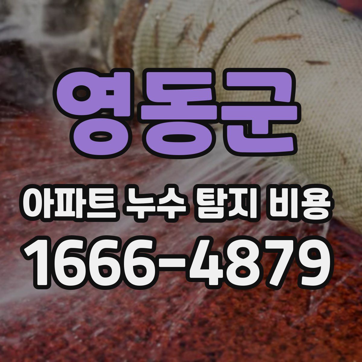 영동군 아파트 누수 탐지 비용