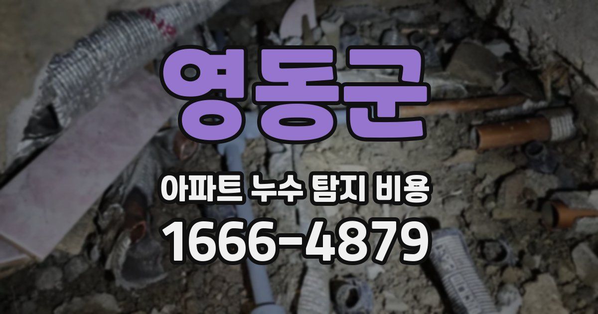 영동군 아파트 누수 탐지 비용