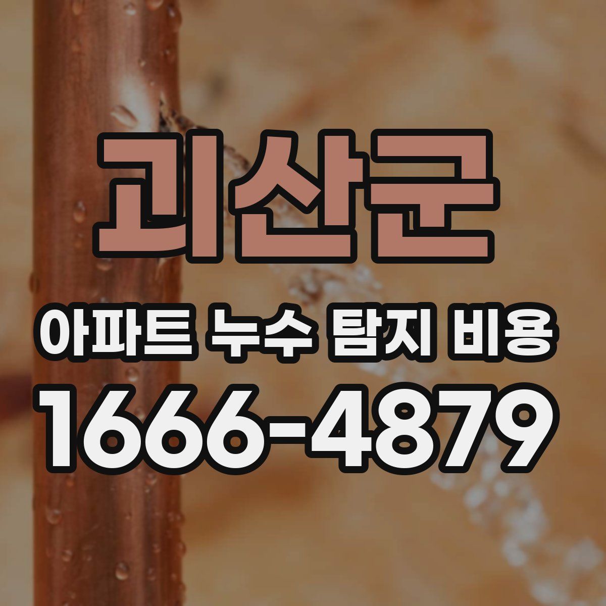 괴산군 아파트 누수 탐지 비용