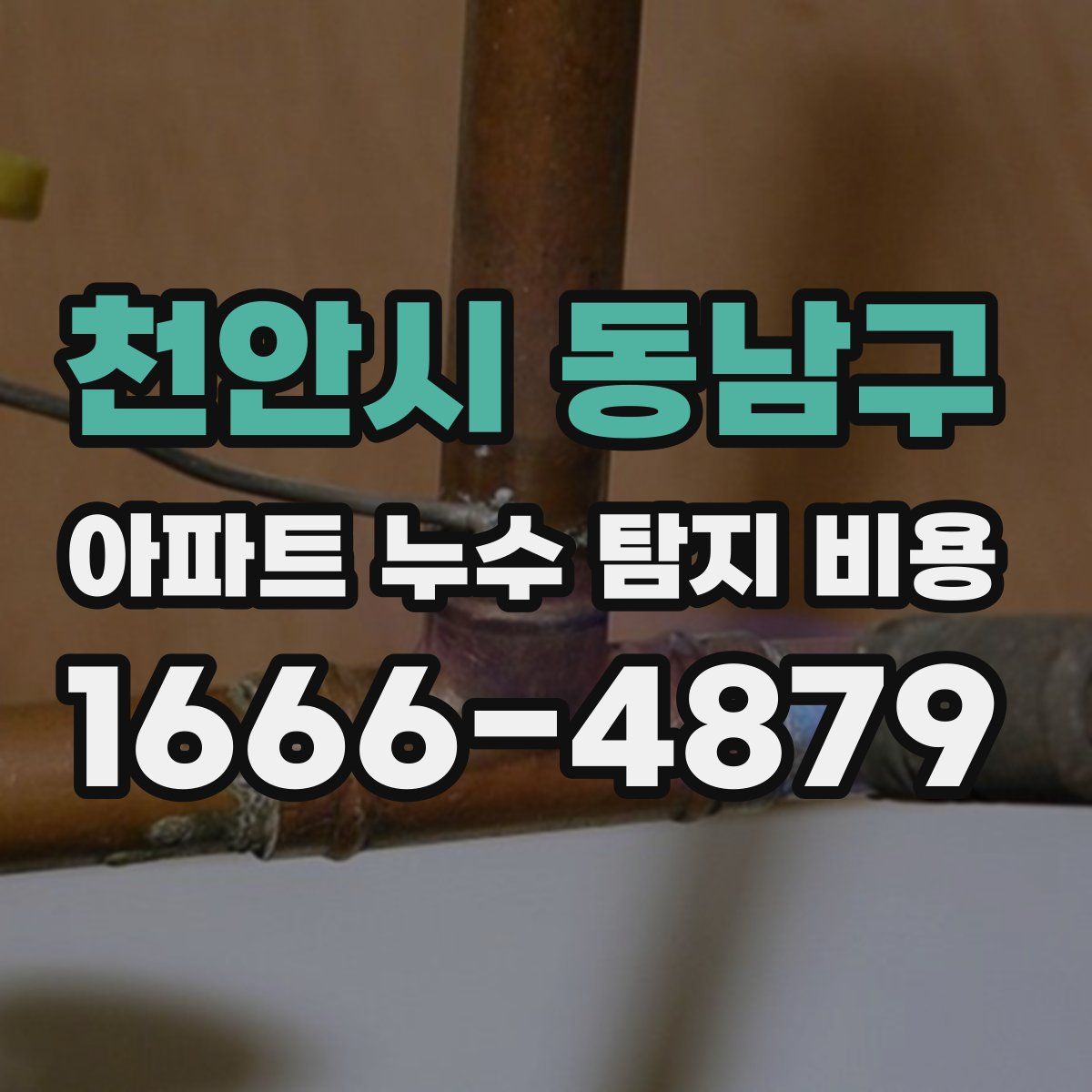 천안시 동남구 아파트 누수 탐지 비용