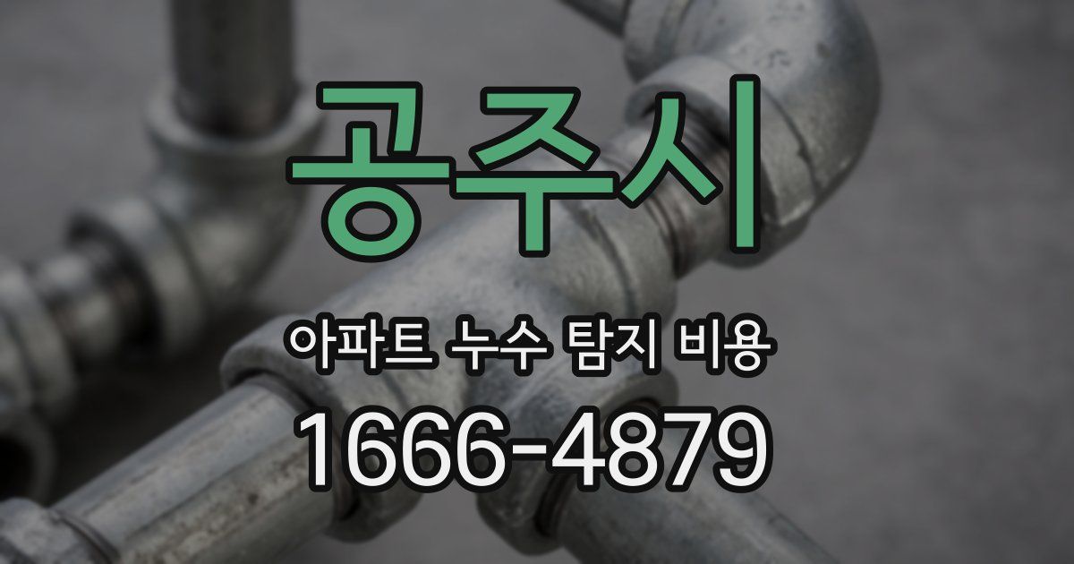 공주시 아파트 누수 탐지 비용