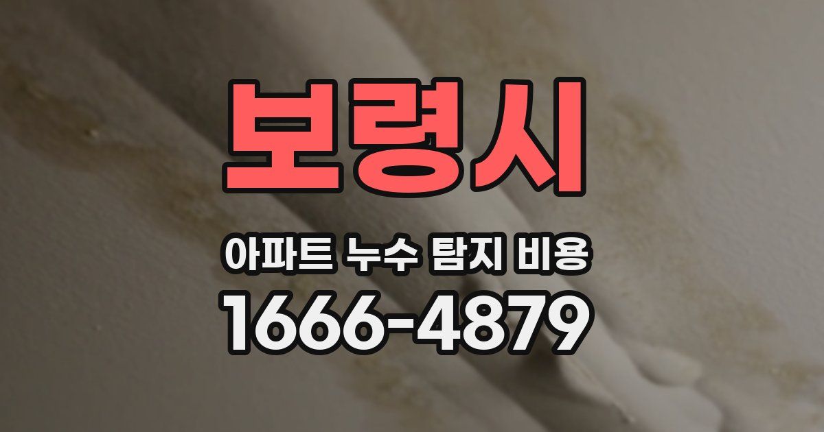 보령시 아파트 누수 탐지 비용