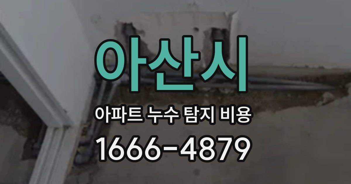 아산시 아파트 누수 탐지 비용