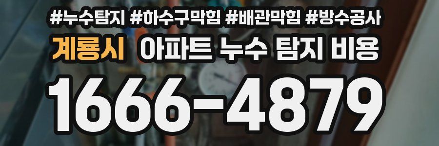 계룡시 아파트 누수 탐지 비용