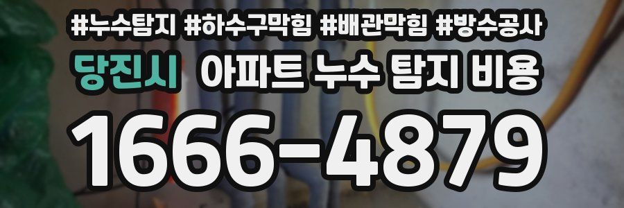 당진시 아파트 누수 탐지 비용