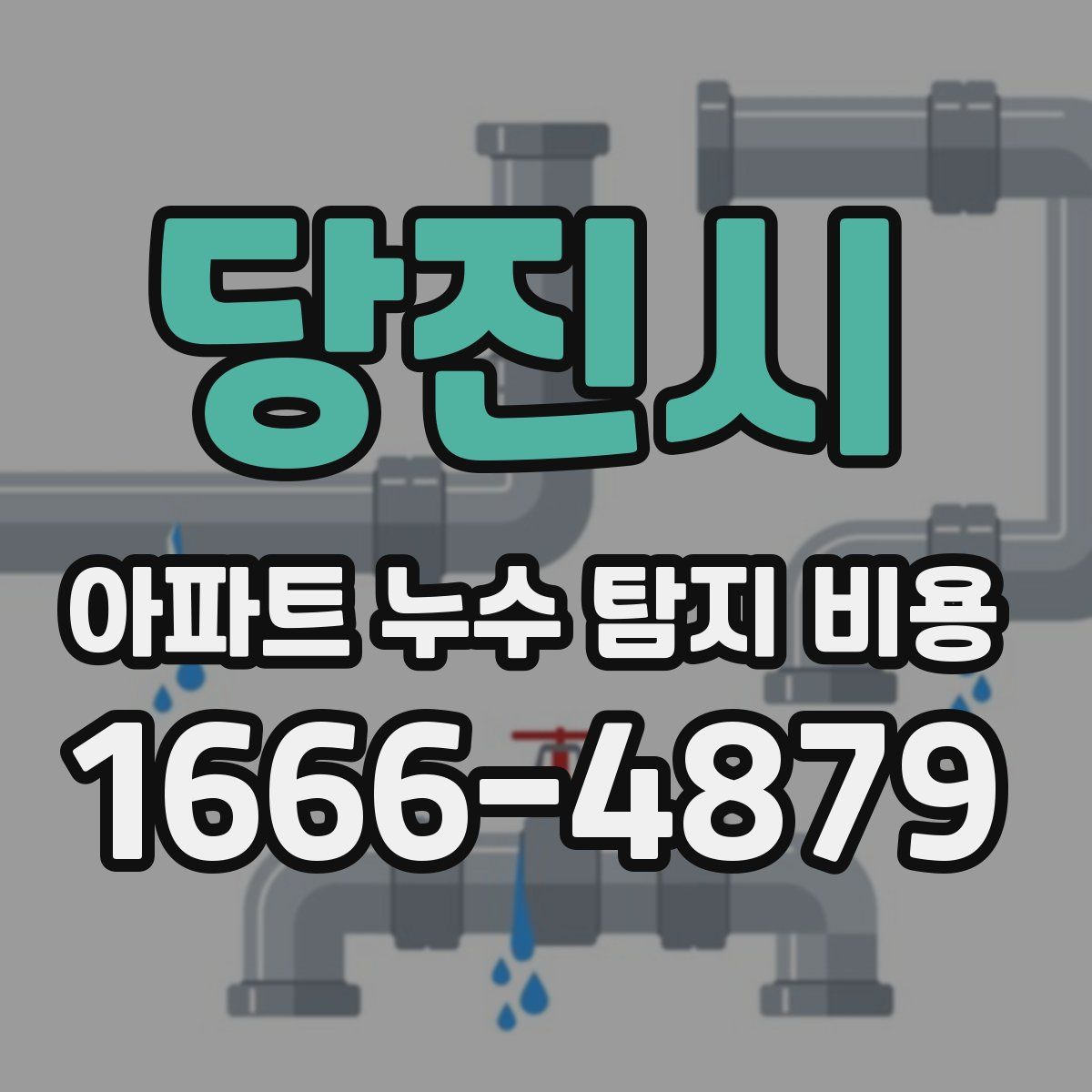 당진시 아파트 누수 탐지 비용