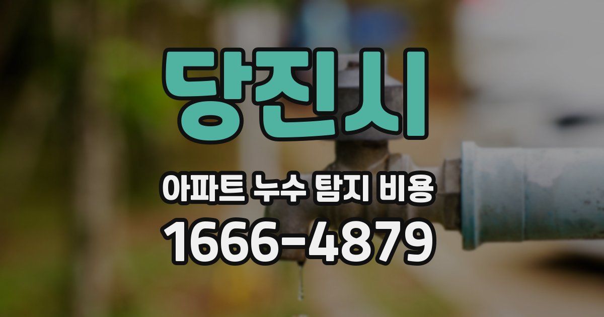 당진시 아파트 누수 탐지 비용